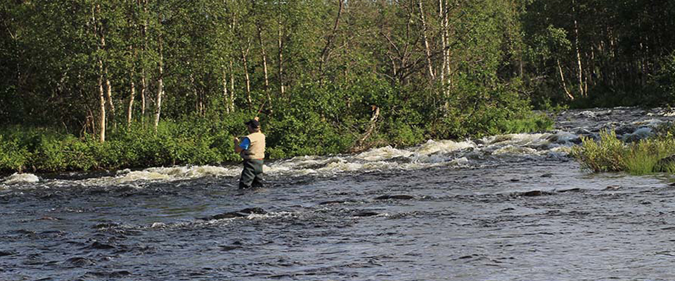 (Svenska) Den fjärde sliden